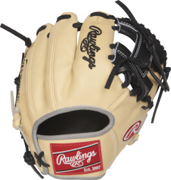 Rawlings Heart Of The Hide 9.5" Training Glove: PRO200TR-2C